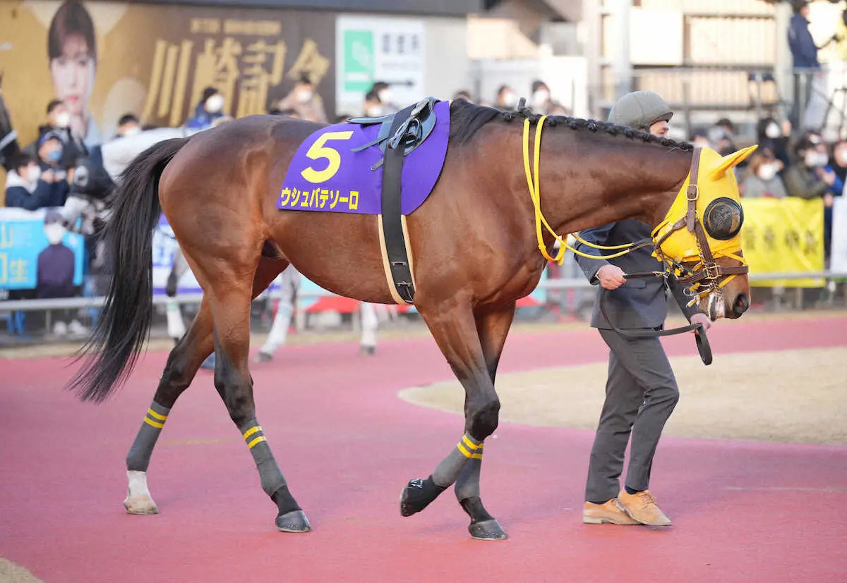 大井11R・東京大賞典】ウシュバテソーロ剛脚で連覇へ！ - スポニチ