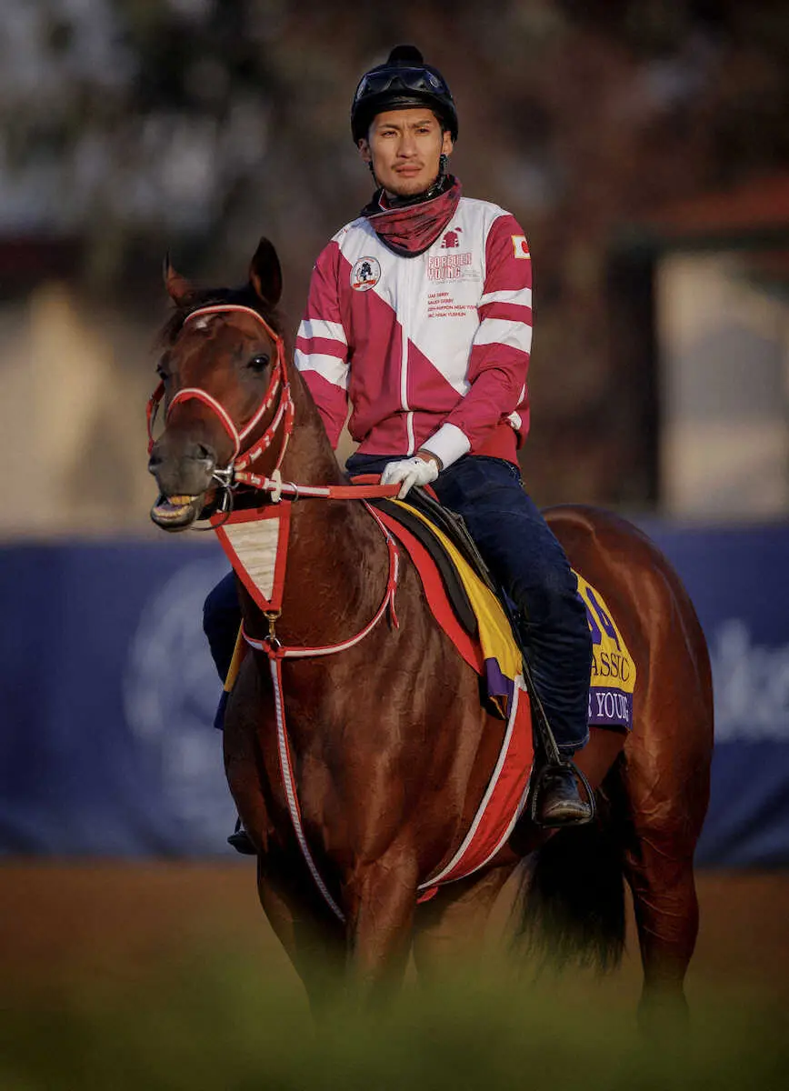 BCクラシック覇者フォーエバーヤングの来年凱旋門賞オッズ設定 3番人気