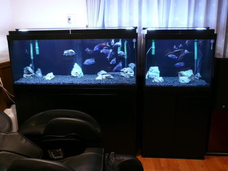 神奈川県相模原市 H 様 4面ブラックアクリル水槽