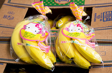 7月のP-プラス青果物 弘果 浩前中央青果【ハローキティバナナ