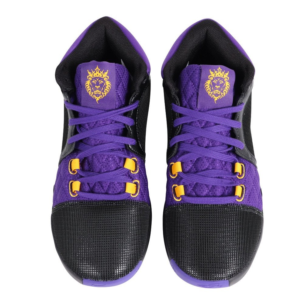 ナイキ（NIKE）（メンズ）バスケ シューズ バッシュ レブロン ウィット