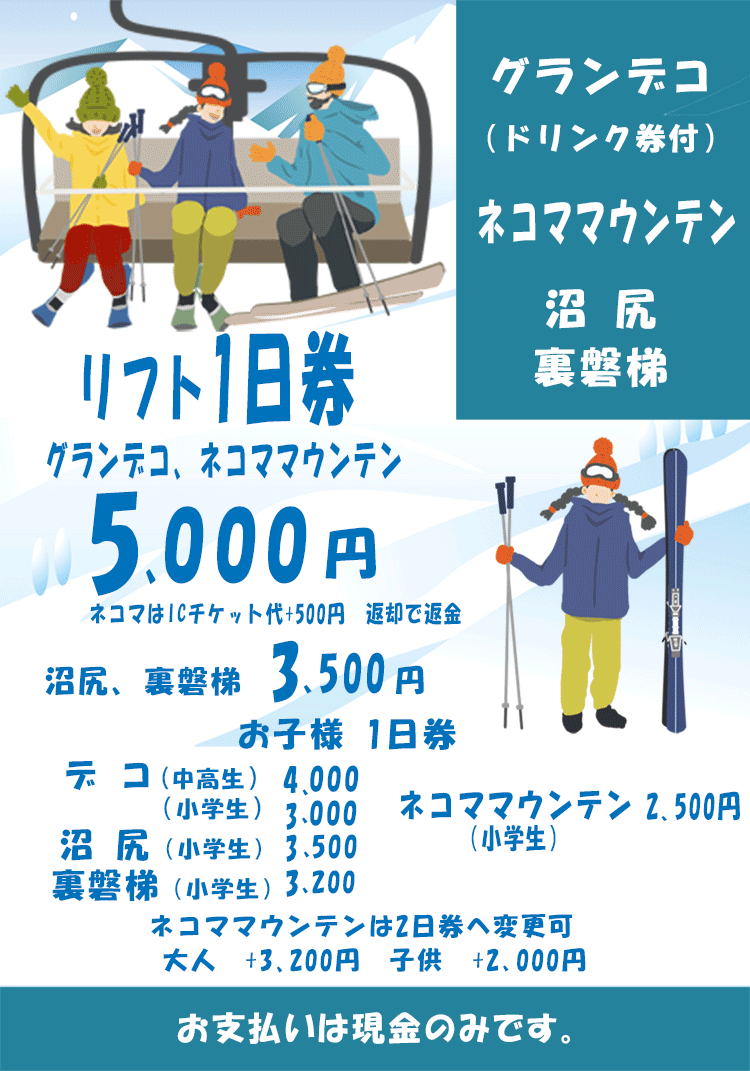 グランデコスノーリゾート リフト1日券 2枚 グランデコ スノーリゾート