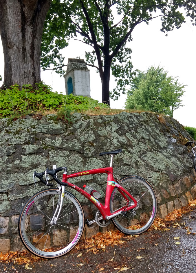 Vitus ZX-1 - Pedal Room