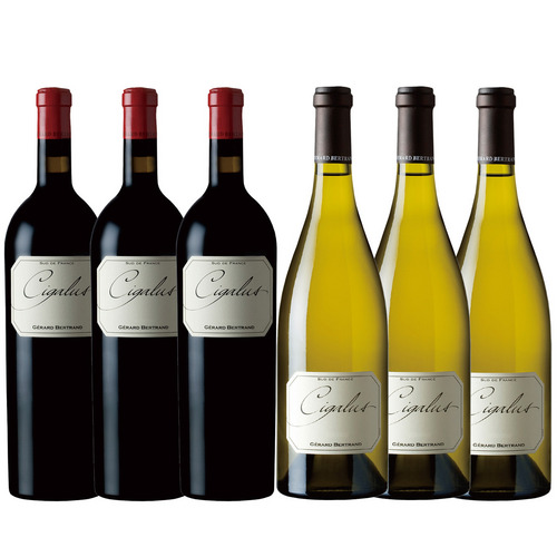 シガリュス 赤白特別セット | ピーロート・ジャパン ハイエンド・高級