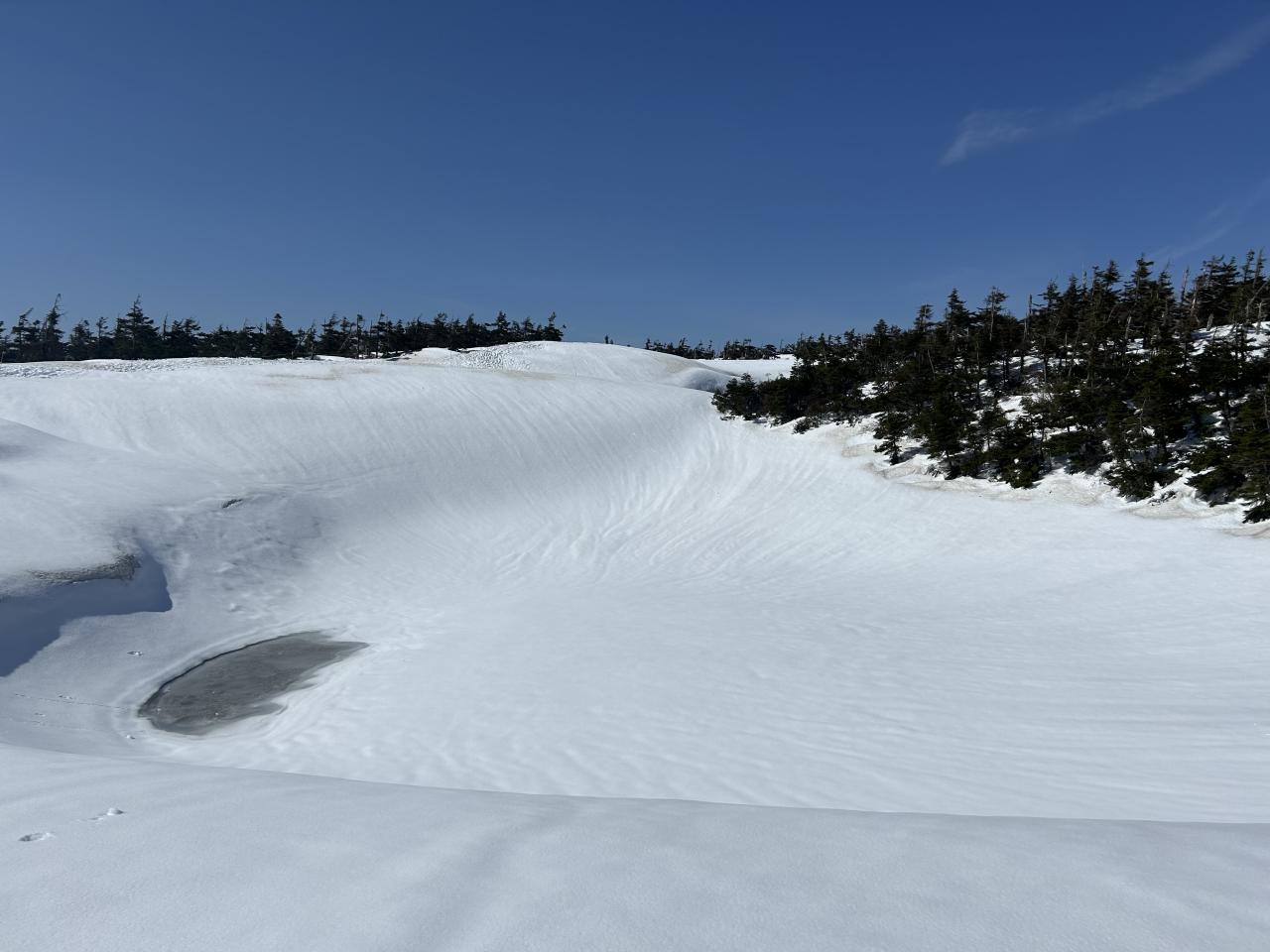 The information center of 