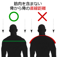 ダグラス ショルダーパッド CP Mr.D-Z｜アメフト用品専門店 QB CLUB