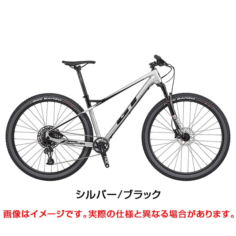GT（ジーティー） 2020年モデル ZASKAR CARBON ELITE （ザスカー