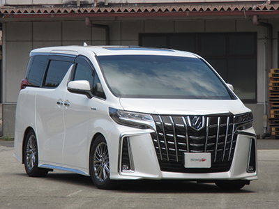 pickup-special-page/alphard-vellfire/nf210 - サスペンション