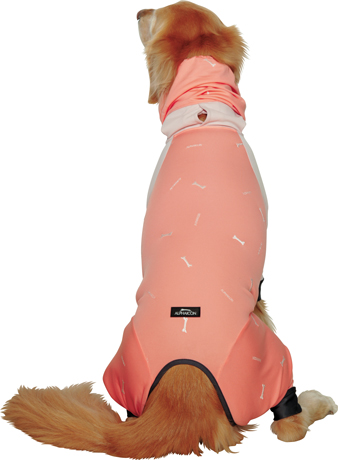 アルファアイコン》ドッグガードクール（2025）