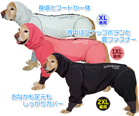 アルファアイコン》レインドッグガード（2026）