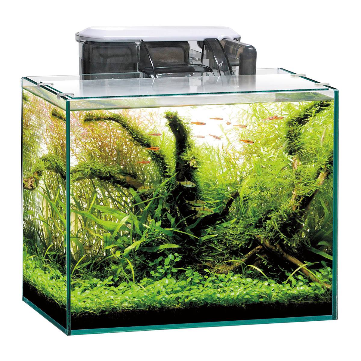 フレームレスアクアリウムセット GTS300【りかなび】ケニス株式会社