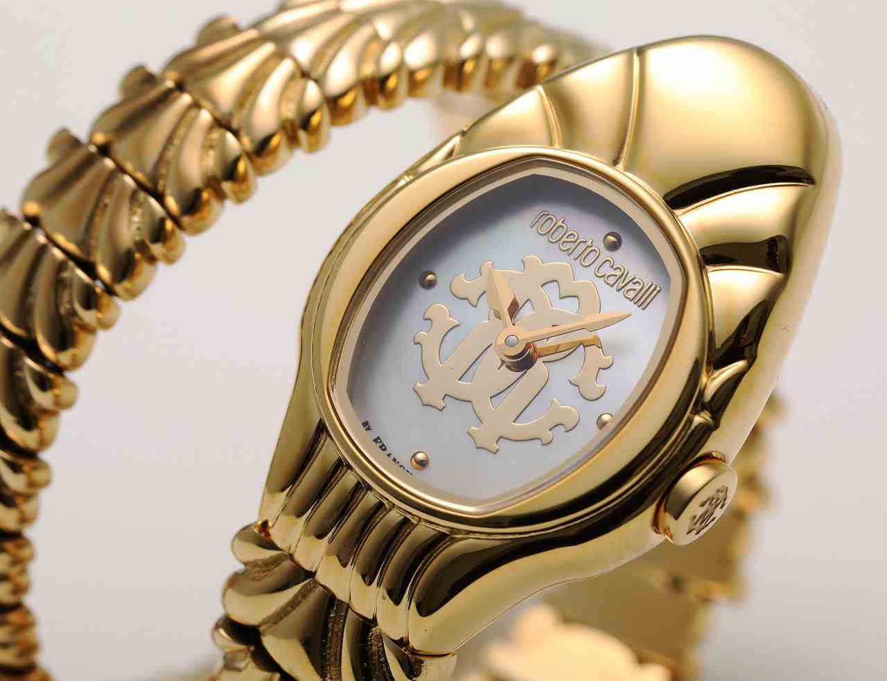 ロベルトカヴァリ バイ フランクミュラー RV1L115M0031 | WATCH WORLD