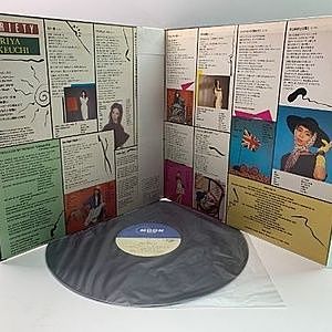 竹内まりや / MARIYA TAKEUCHI / ヴァラエティ / Variety (LP) / Moon