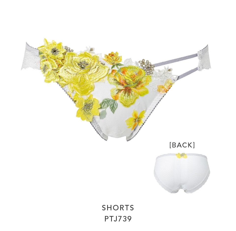 Salute（サルート）｜ 39グループ ｜ セクシー下着