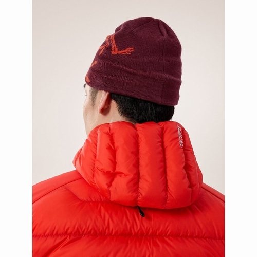 Bird Head Toque （バード ヘッド トーク）ARC`TERYX（アークテリクス