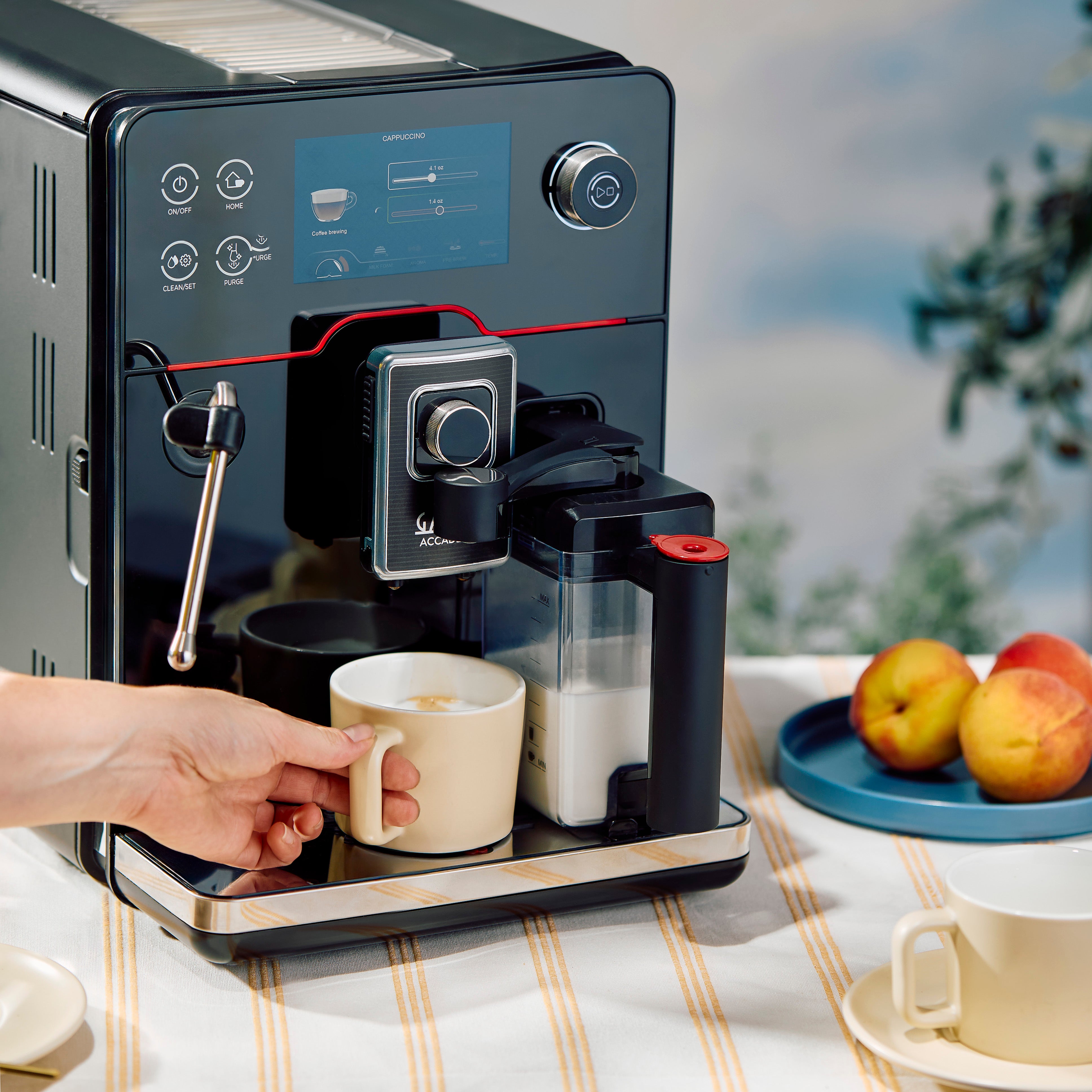 Gaggia Accademia – Whole Latte Love