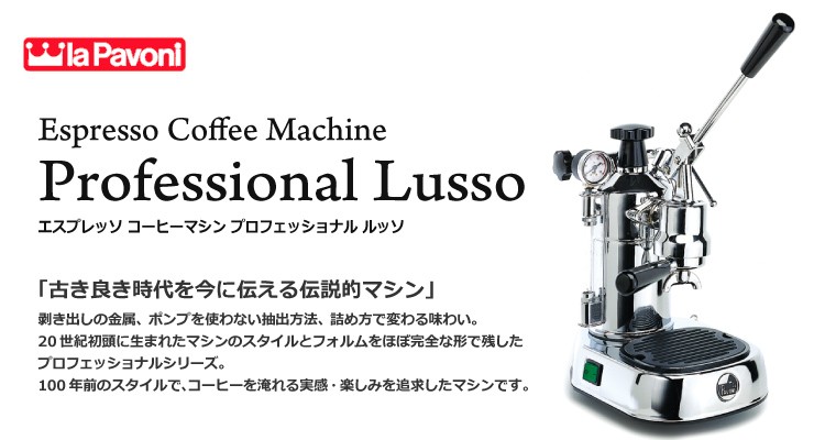 取寄品 パボーニ プロフェッショナル ルッソ