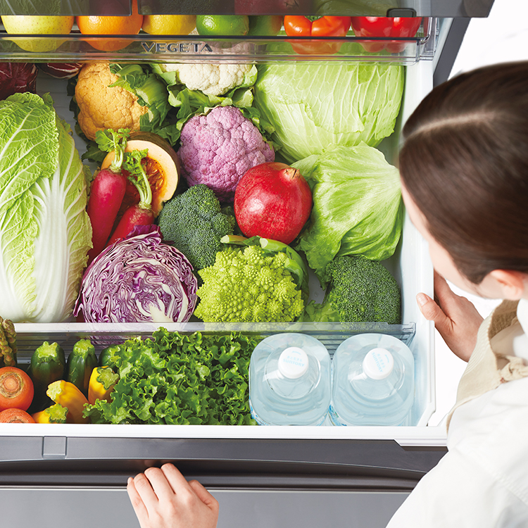 GR-T460FZ | 冷蔵庫 | 東芝ライフスタイル株式会社