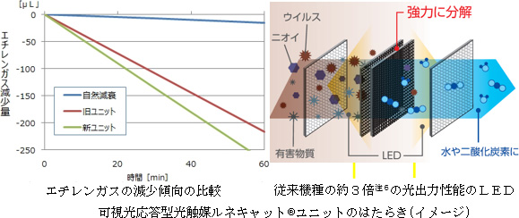 野菜の保存環境を向上させた冷凍冷蔵庫の発売について | 東芝ライフ
