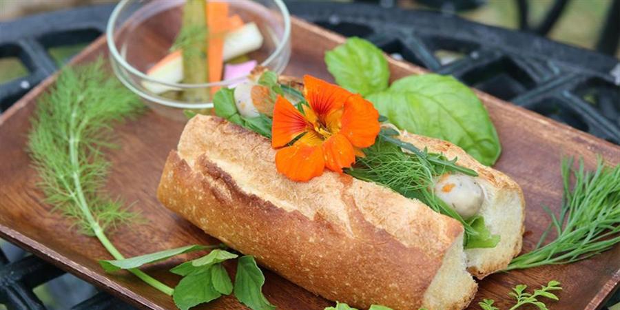 限定300本！BEGINデビュー25周年記念泡盛の予約が開始 - ニュース