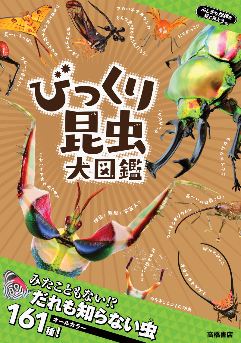 ふしぎな世界を見てみよう！びっくり昆虫 大図鑑 | 高橋書店