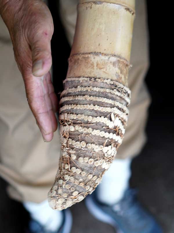 竹根について - 竹虎四代目がゆく！