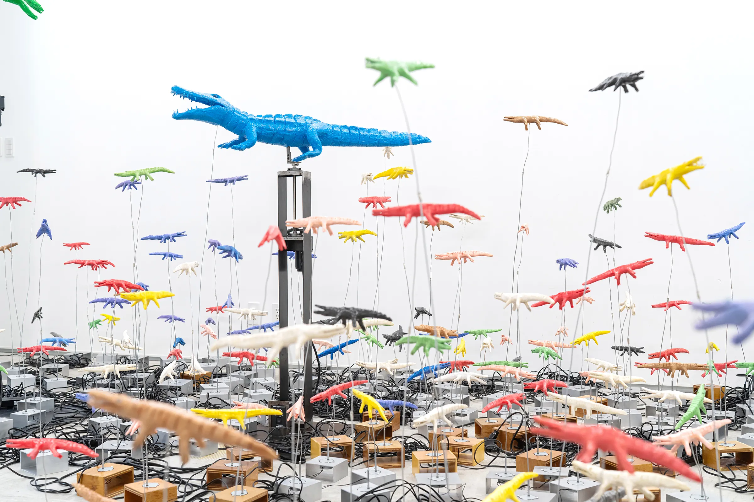 レイという青いワニはまわるのに60秒かかる ジョージという白いワニは