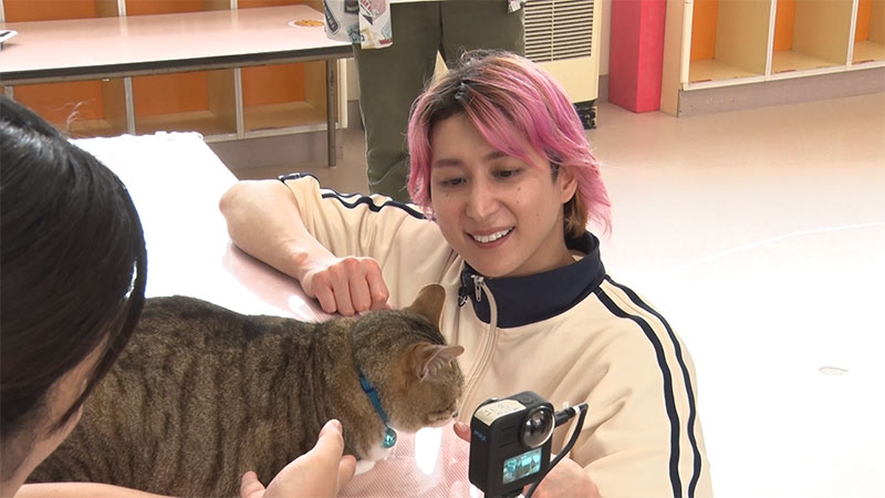 わんにゃん観察バラエティ アニマリング｜TBSテレビ