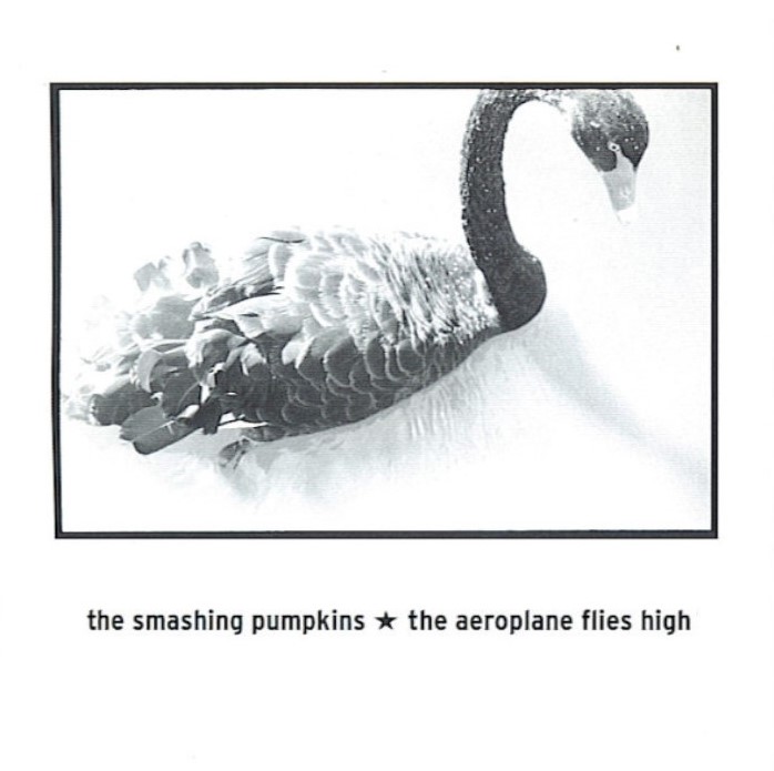 Smashing Pumpkins – The Aeroplane Flies High (Single LP Edition