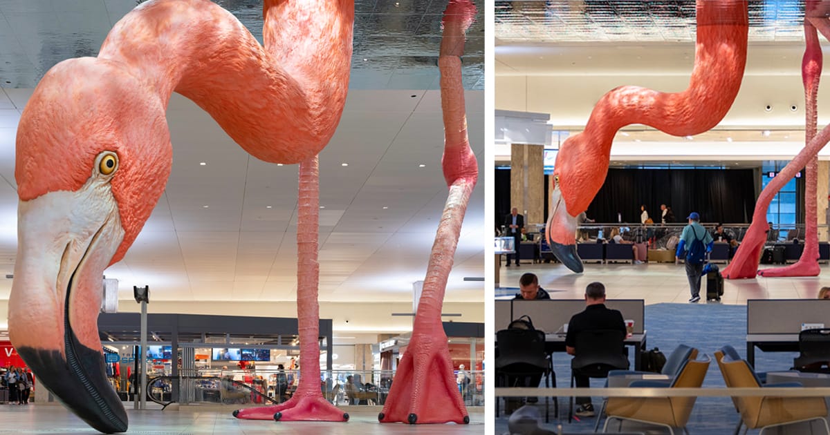 Matthew Mazzotta's Monumental Pink Flamingo Wades Through Myriad