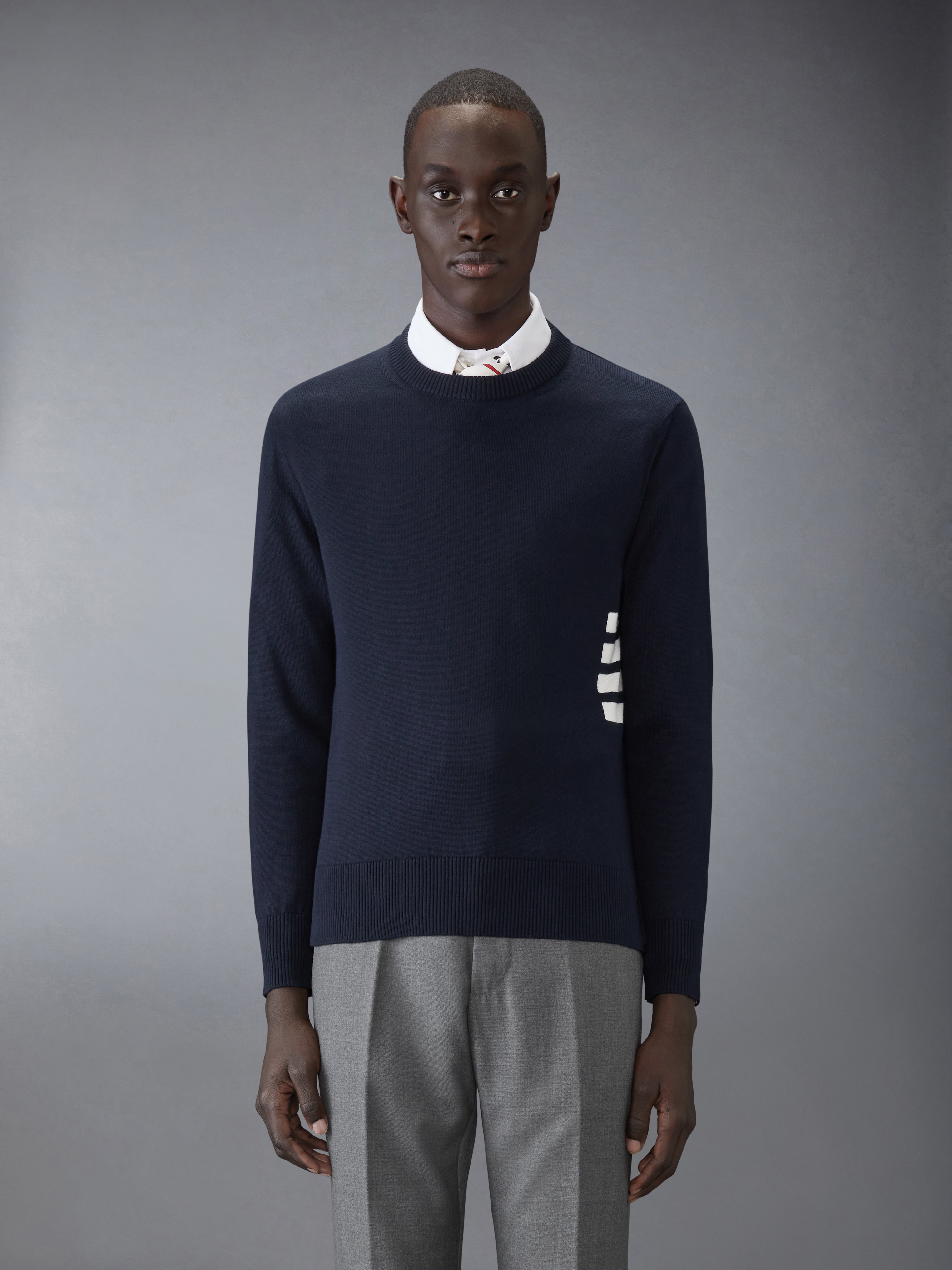 Jersey Stitch Relaxed Fit Crew Neck Pullover In Cotton W/ Intarsia