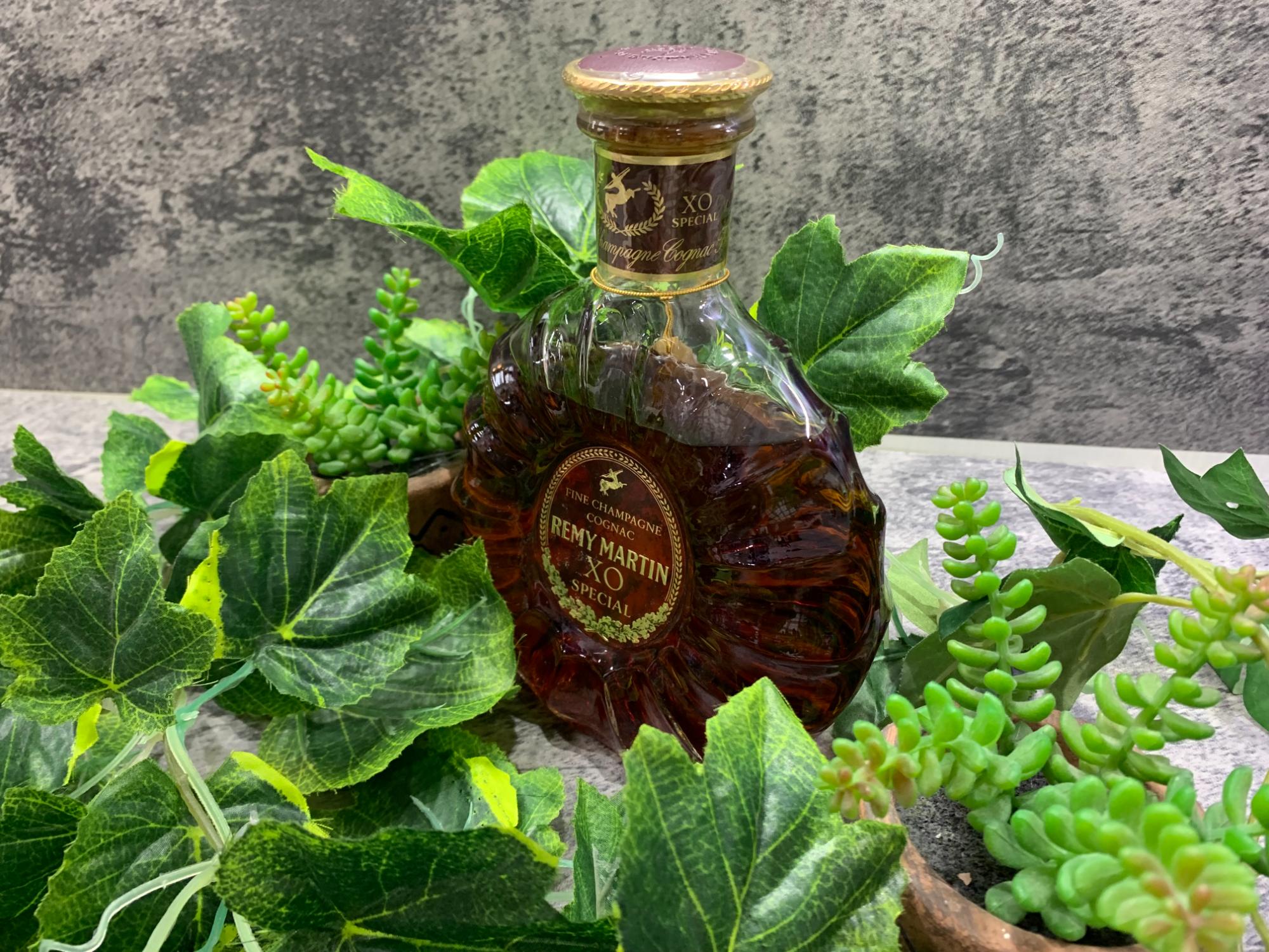 レミーマルタン コニャック XO SPECIAL 買取入荷致しました!｜2026年02