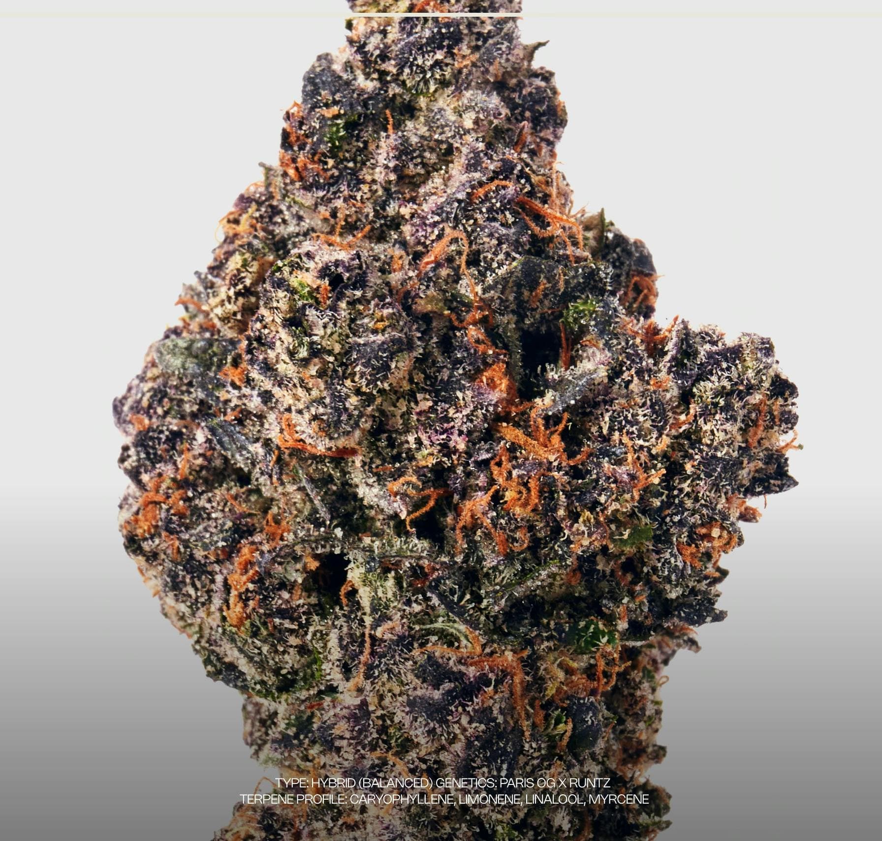 Rolex Runtz | Flower | 3.5g by Dada - Exotic Cannabis Flower | Buy