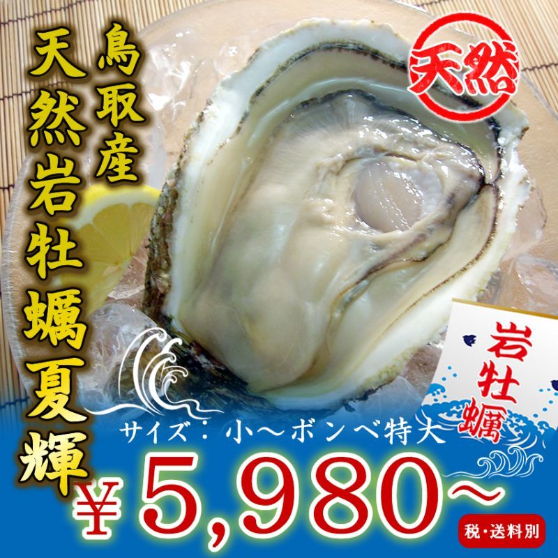 鳥取産 天然岩牡蠣「夏輝」を産地直送／牡蠣の通販専門店海鮮直送 旨い