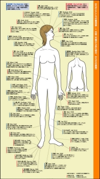 公式】株式会社ヴォイス 出版事業部｜こころを癒すと、カラダが癒される