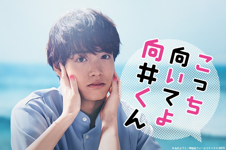 こっち向いてよ向井くん｜VAP