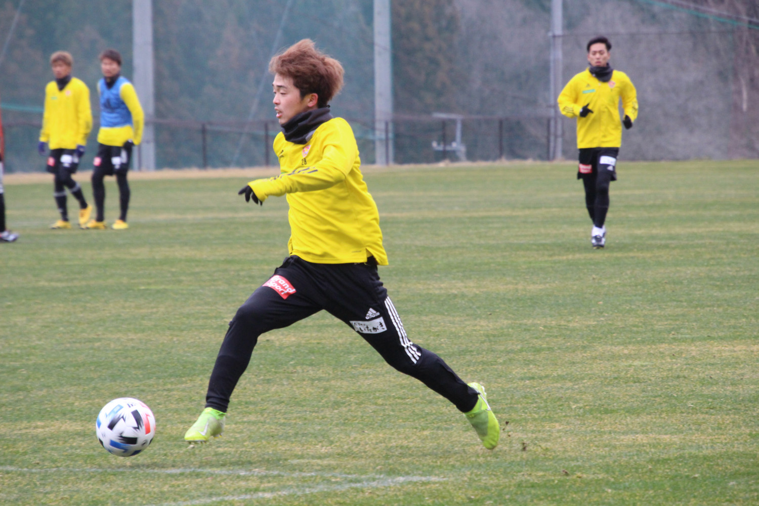 予約限定】2020選手着用トレーニングウェア販売のお知らせ | ベガルタ