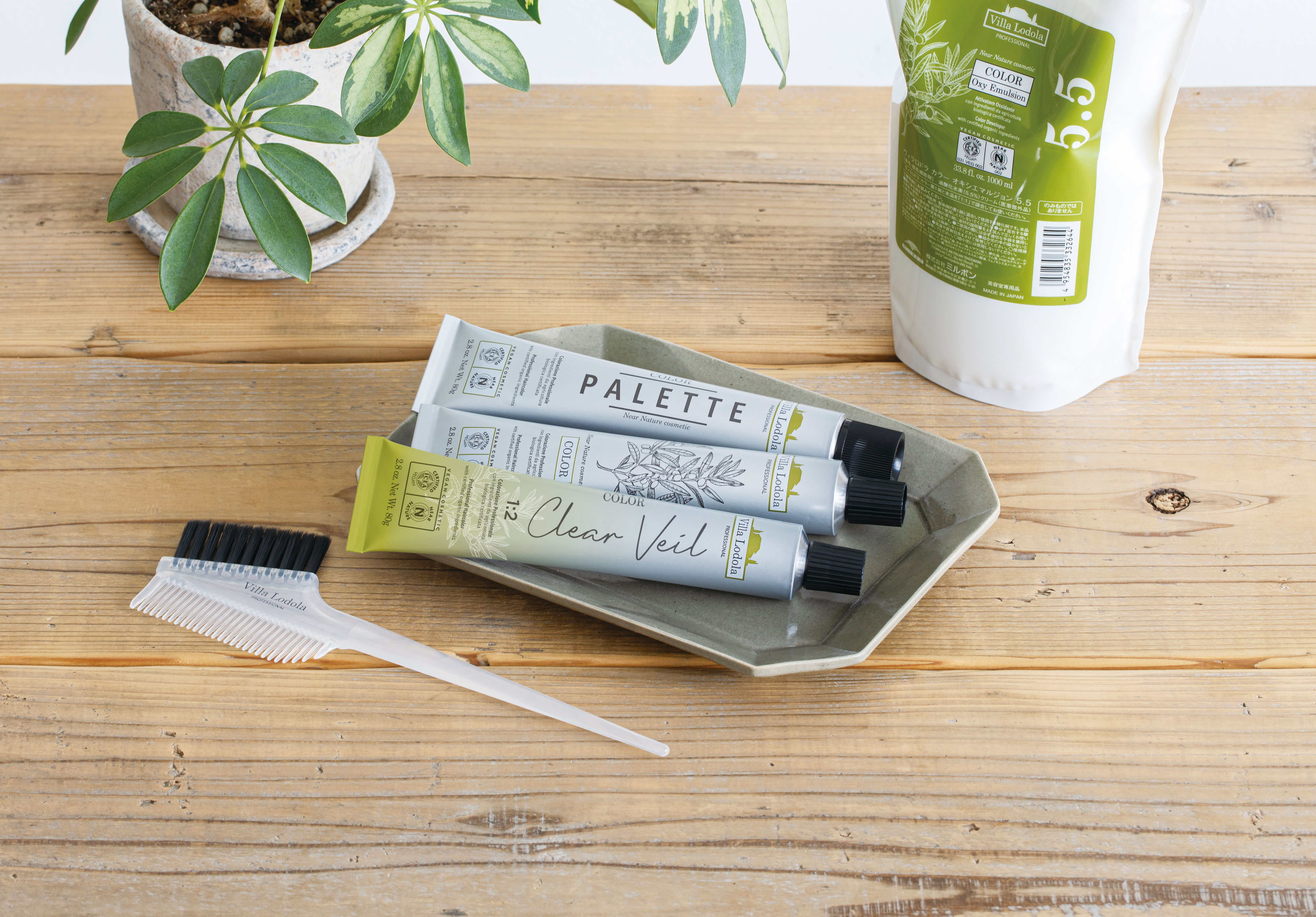 Villa Lodola COLOR（ヴィラロドラ カラー） | Villa Lodola