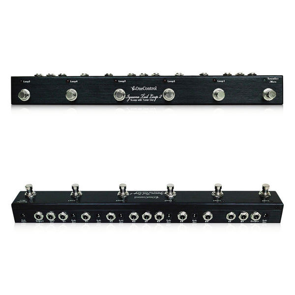 iguana_600x600.jpg?v=1571709029