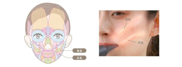 歯ブラシ型美顔器「オーラルリフト」誕生 | ヤーマン株式会社