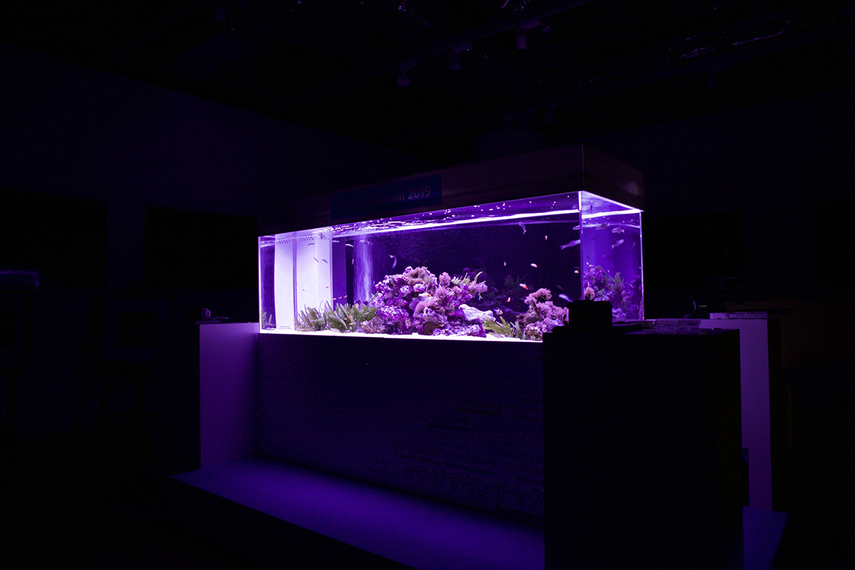 アクリル水槽 1800 | 株式会社yasuda