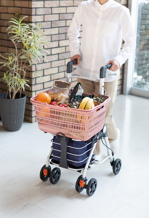 幸和製作所 テイコブリトルワゴンミニ ｜ 歩行車のレンタル・販売