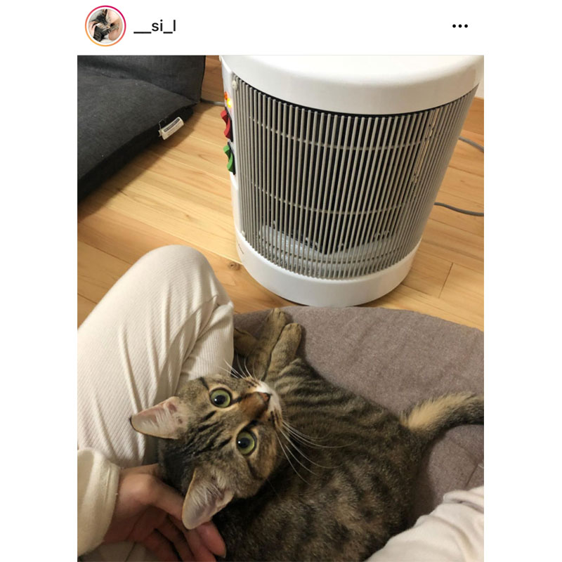 公式】夢暖望・暖話室｜遠赤外線パネルヒーター