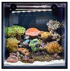 アンダーウォーターLEDスリム｜ゼンスイ株式会社