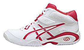 レディゲルフェアリー』シリーズの特徴