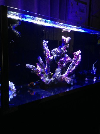 山形県Oさま オーバーフローセット｜すいそうやさん