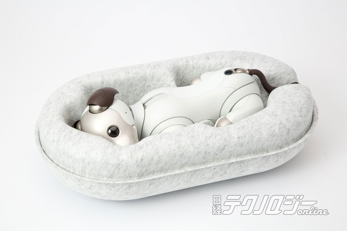 aiboが編集部にやって来た！「お迎えの儀」はドタバタ（2ページ目