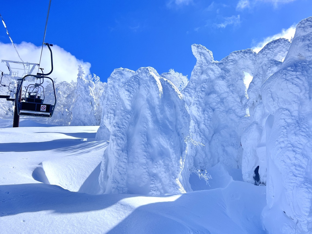 DEEP ZAO 蔵王坊平高原の樹氷原｜観光スポット（上山市・村山地方