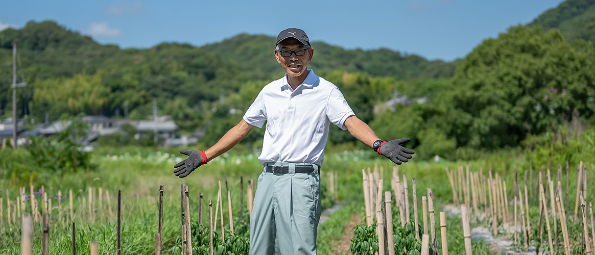 農園情報 - 岡山県玉野市の唐辛子農園 | 山口農園