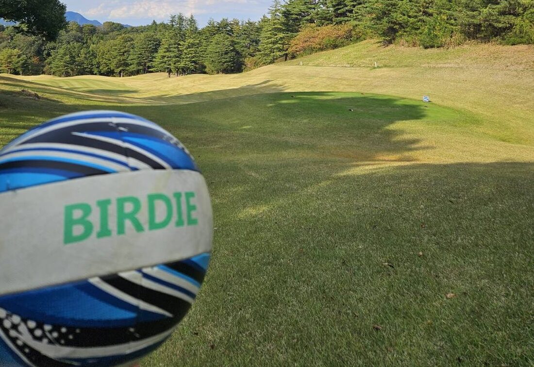 フットゴルフのボールは？フットゴルフ用のボールを紹介 - YUYUCLUB FG